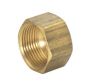 1/4" COMP NUT