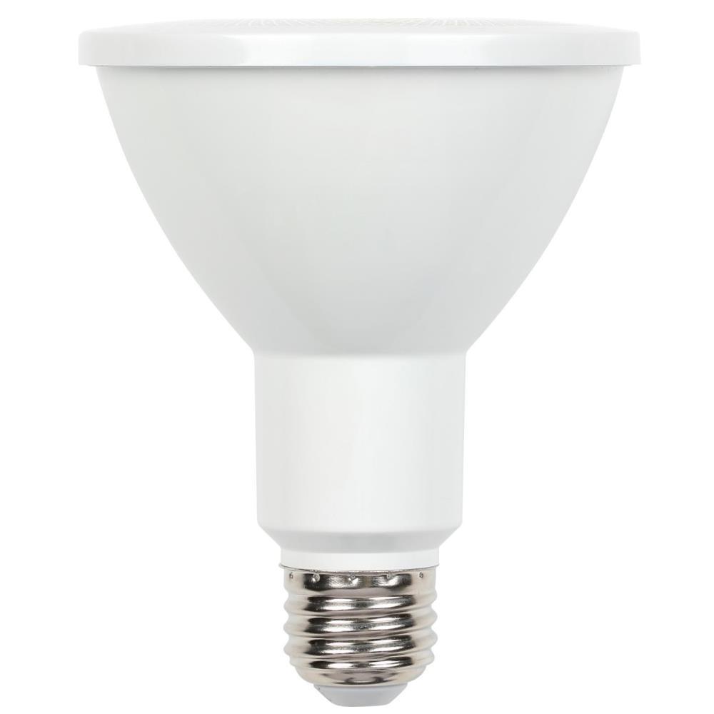 <R> 10W PAR 30 LED FLOOD LIGHT10PAR/LED/DIM/FL/40