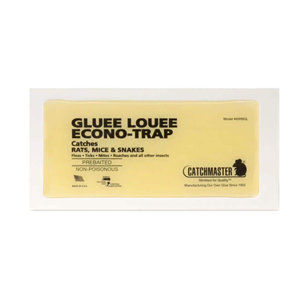 RAT GLUE BOARD BULK           30/BOX DISPOSABLE