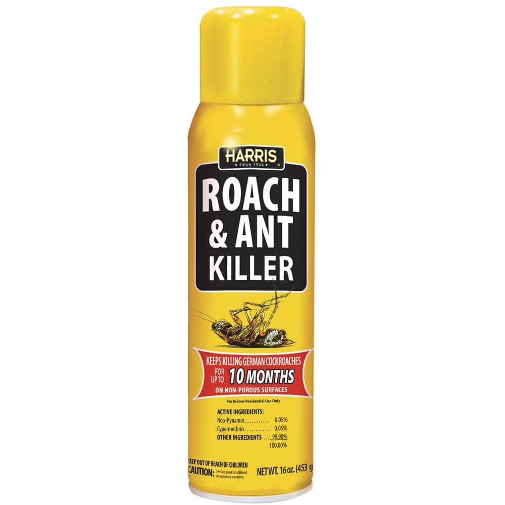 ROACH & ANT KILLER 16oz       AEROSOL 16OZ