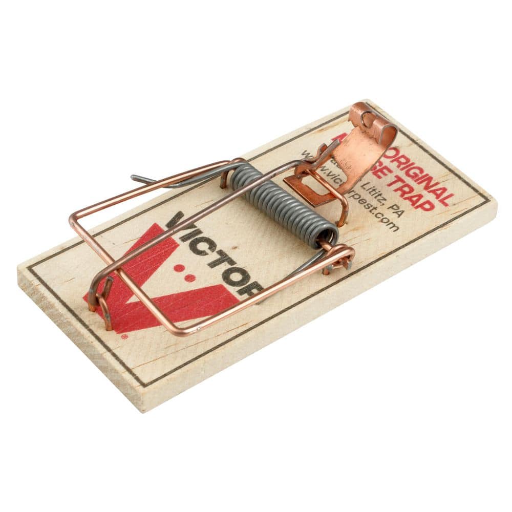 2PK METAL PETAL MOUSE TRP     SAME AS M040 ONLY 2PACK