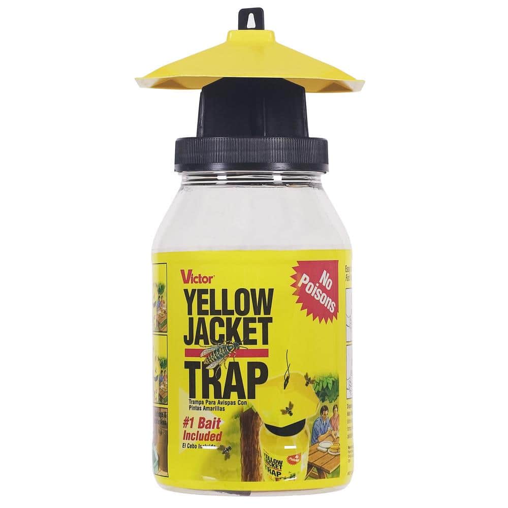 YELLOW JACKET TRAP TERRO