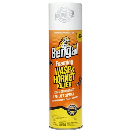<S> <C> 18oz FOAMING WASP & HO