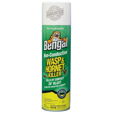 15 OZ. NON-CONDUCTIVE WASP & HORNET KILLER 
