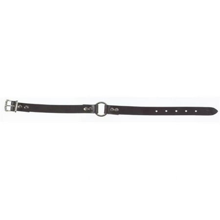 <C> RED COLLAR 1"X18"-26"