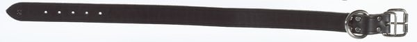 LEATHER COLLAR 1" X 19"       GUARDIAN GEAR