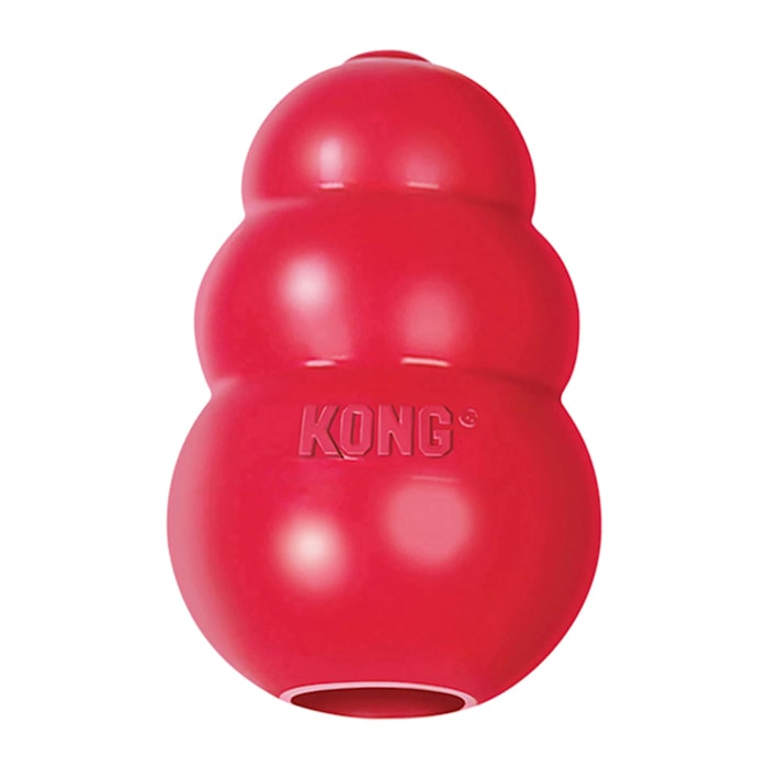 <C> LRG CLASSIC KONG
