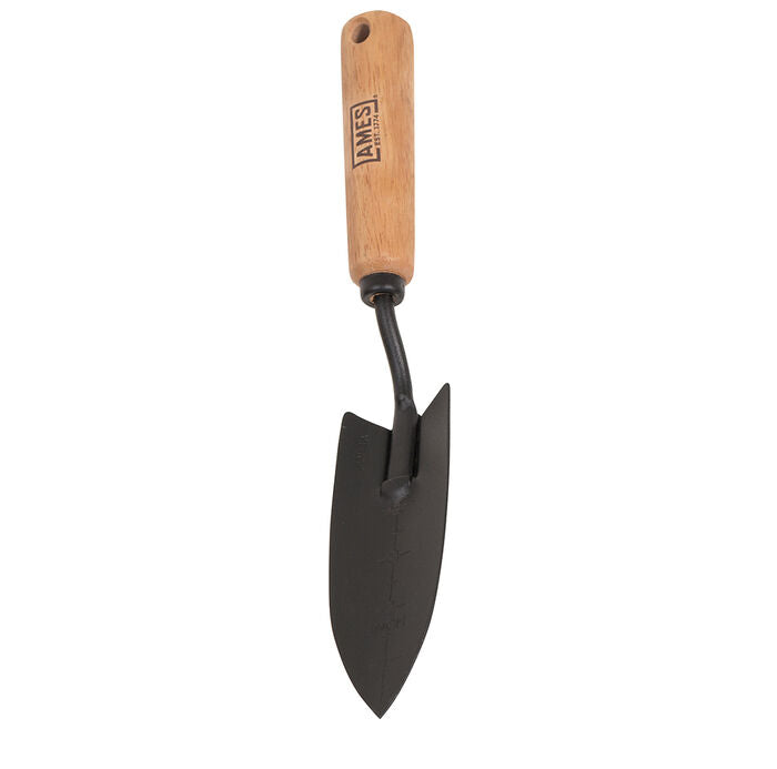 HAND TRANSPLANTER AMES